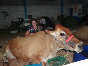 Luana Bittencourt cuidando de sua vaca Maroca, enquanto participa do Torneio Leiteiro.