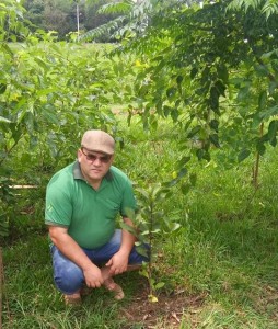 Paulo Mayer - Engenheiro Agrônomo e produtor de mudas de erva-mate (na foto, mostra erva-mate transplantada em área com sombreamento).