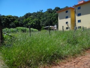 Terreno baldio com entulhos, possível foco de criação do mosquito da Dengue, na Rua Dante Alighieri, ao lado do nº 2497.