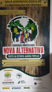 alternativa