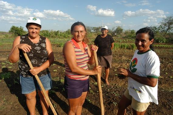 FAO LANÇA CAMPANHA #MULHERESRURAIS, MULHERES COM DIREITO