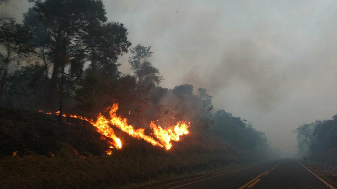 Há três dias queimadas consomem reserva ambiental em Rio Bonito do Iguaçu